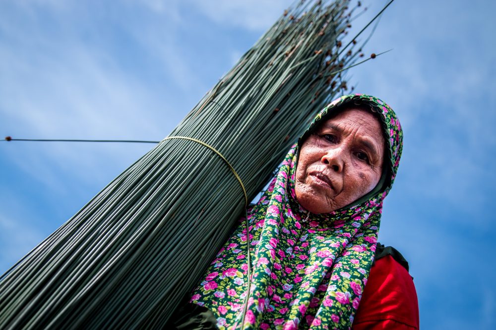 Policy Brief: High Food Prices and the What, Who and How of Proposed Policy&nbsp;Actions