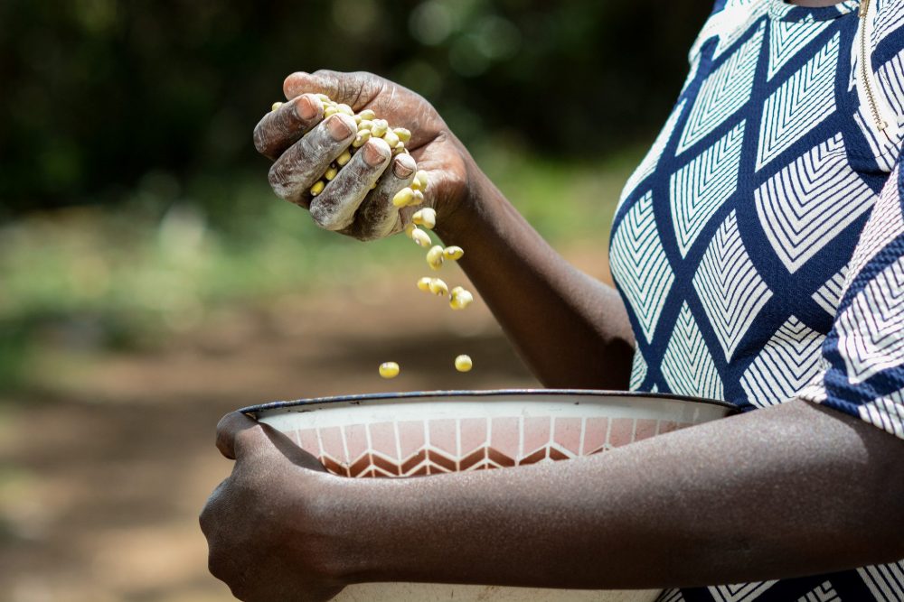 Policy Brief: Promoting Competition in the Fertilizer Industry in&nbsp;Africa