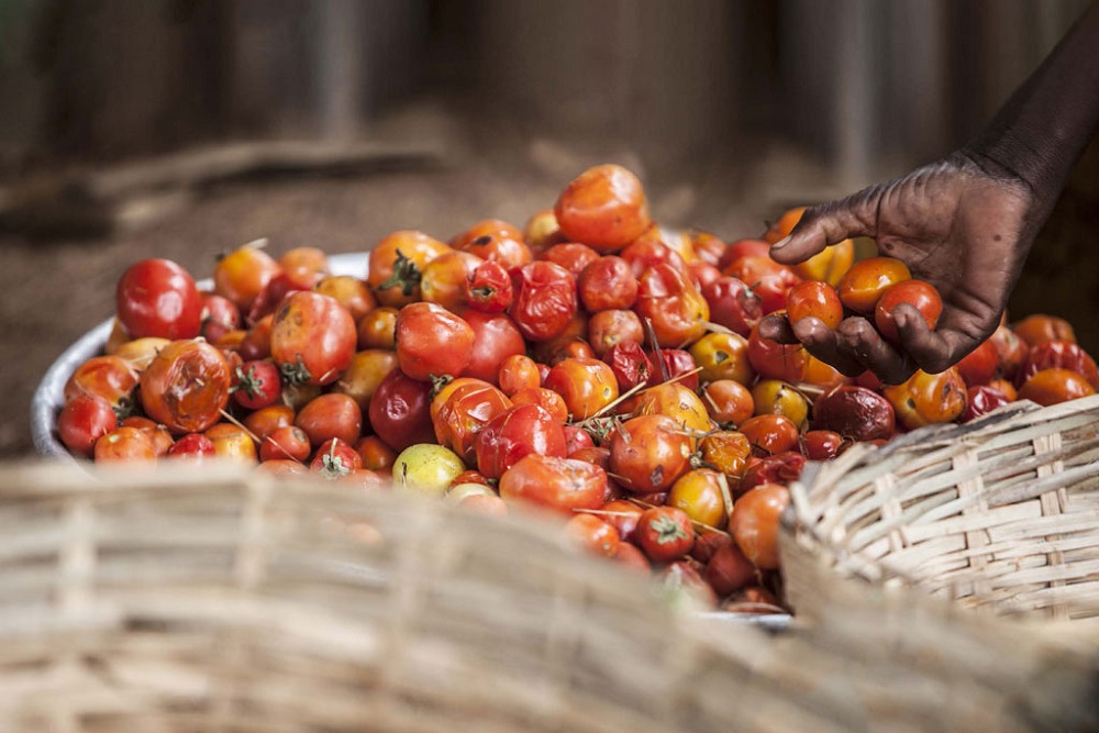 Initiative: Reducing Food Loss and&nbsp;Waste