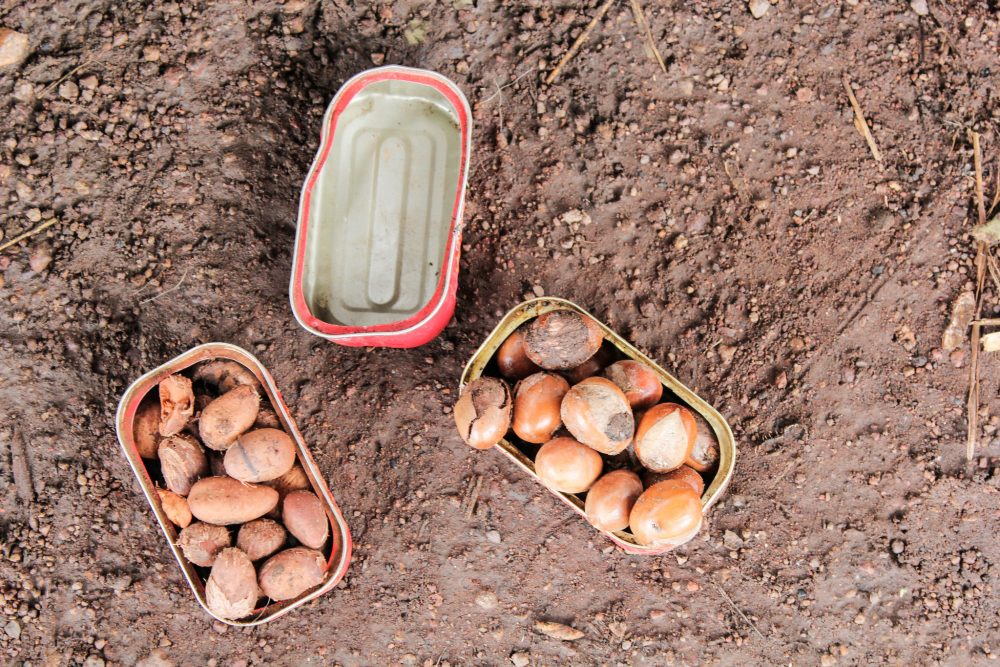 Policy Brief: Urgent Action Needed to Prevent Recurring Food&nbsp;Crisis