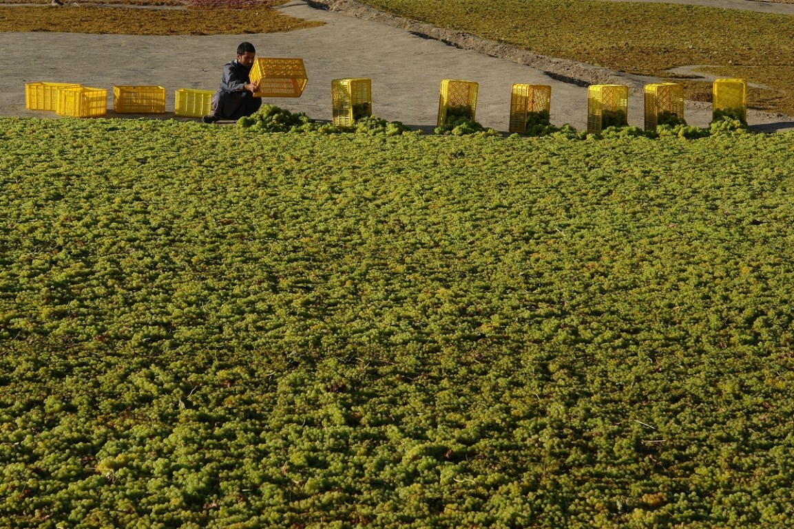 Prepare Agriculture for the Next&nbsp;COVID-19