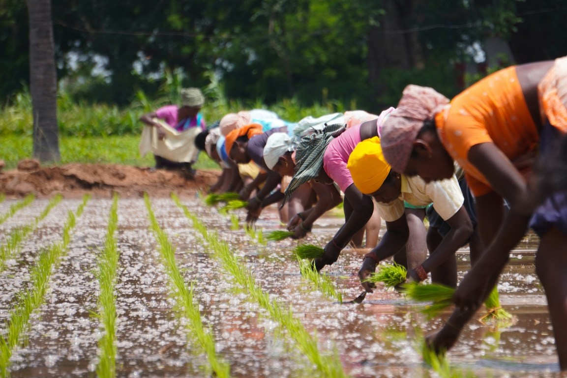 Recognizing Water’s Value Will Help Us Use It&nbsp;Wisely