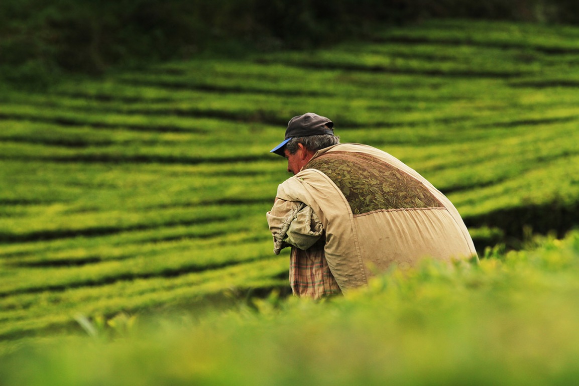 Investment in the Rural Economy Reduces Pressure to Migrate Internationally