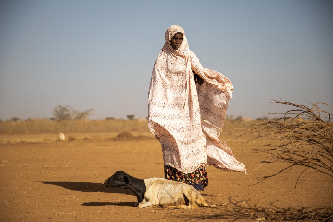 Investing in Agrifood Systems Is a Safer Bet than Military&nbsp;Spending